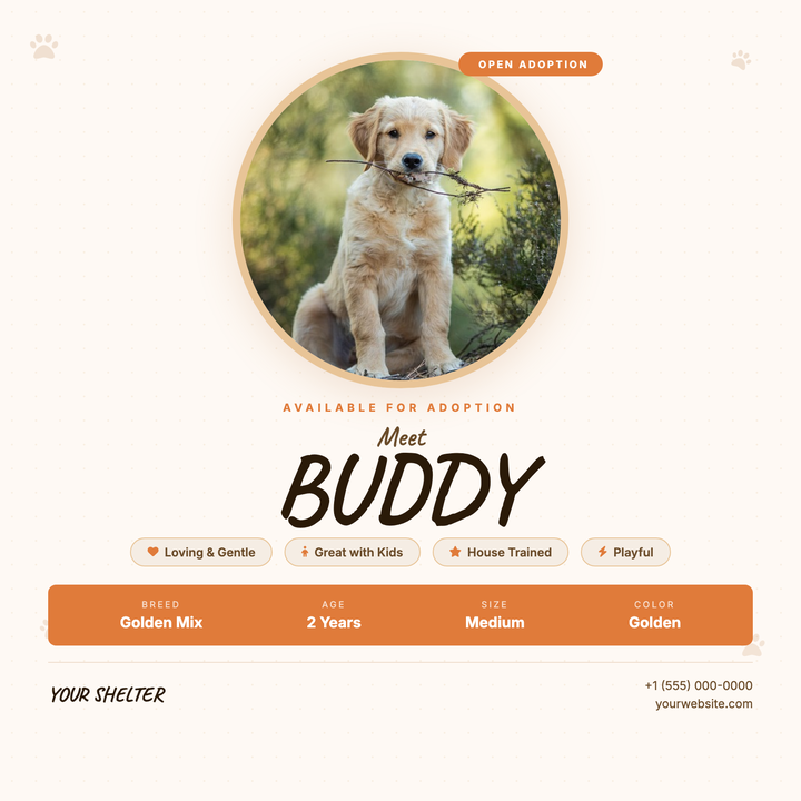 A warm cream-and-amber layout built for shelters and rescue orgs promoting adoptable pets on social media or event boards.